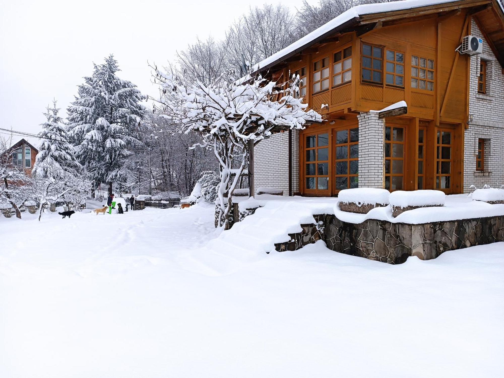 Villa Ema Sarajevo Exterior photo
